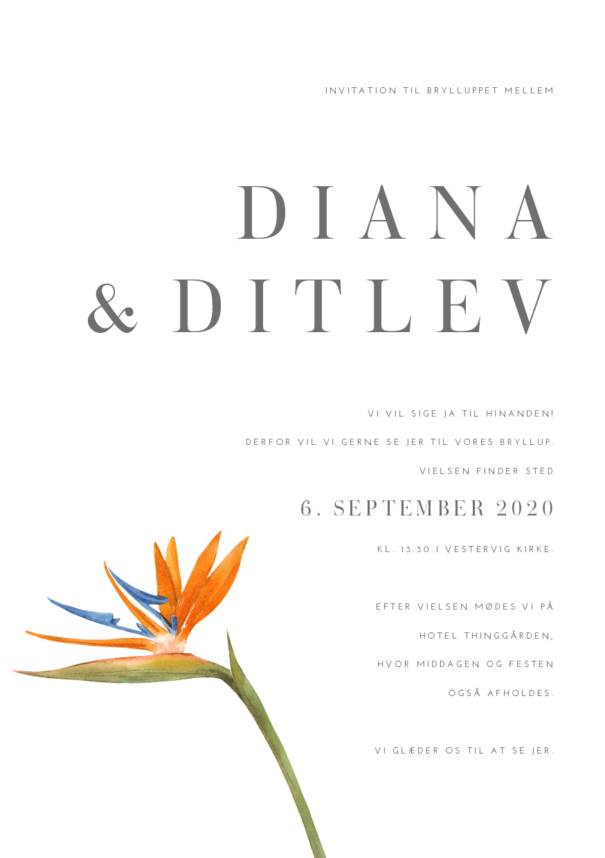 Invitationer - Diana & Ditlev